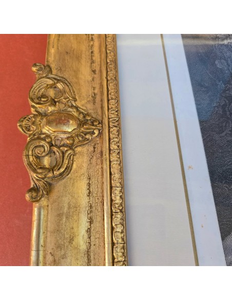 VENERE ALLATTA AMORE