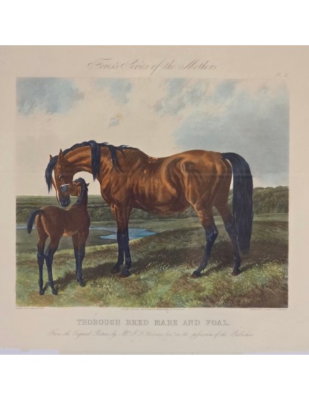 FORES'S SERIES OF THE MOTHERS